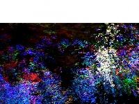 水语心花：夜幕下的汉江表情