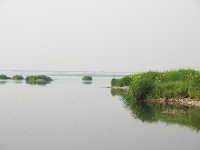汉江湿地