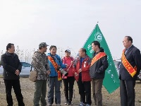 谷城启动中华秋沙鸭生存状况调查