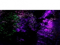 水语心花：夜幕下的汉江表情