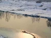 新年第二场雪任性而认真，雪景美不胜收