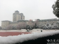 谷城不下雪，看人家武汉