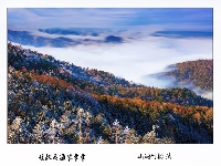 残秋云海雾蒙蒙