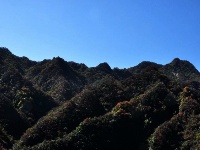 赵湾漆树垭风光