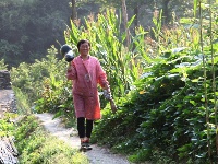 道听图说游马场