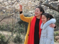 春来花开满人家