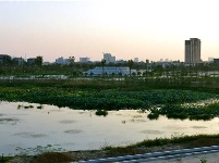 建设中的谷城汉江国家湿地公园