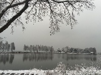谷城不下雪，看人家武汉