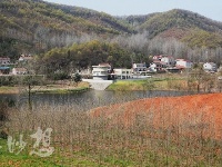 谷城百花岛