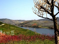 谷城百花岛