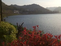 春到南河