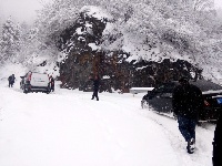 赵湾普降大雪