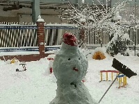 2018新年迎暴雪，谷城人堆雪娃娃如此惊艳
