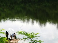 魅力山村黄家坪