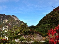 赵湾漫山红叶醉游人