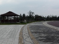 谷城汉江国家湿地公园