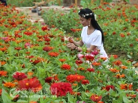 美女若盼兮，见之不忘！