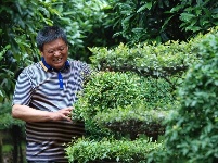 杨沛俊：志在绿色兴产业