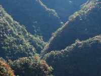 谷粟路 谷城最美高山公路