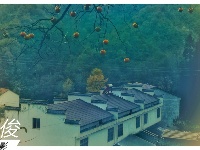 赵湾秋色