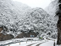 赵湾普降大雪