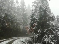 谷城今冬第一场雪来啦
