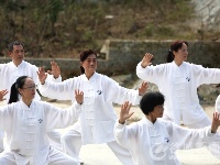 谷城60余老年朋友樱花谷里秀太极