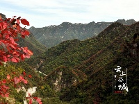 赵湾漫山红叶醉游人