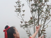 姐姐好漂亮