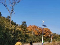 冬日谷山公园