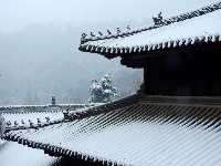 大雪纷飞后茨河承恩寺的高颜值