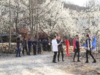 樱桃花开，美女帅哥闻香来