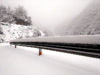 赵湾普降大雪