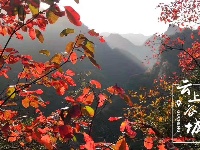 庙滩郭峪深秋美景