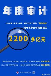 2020年度国家审计“审”出2200多亿元