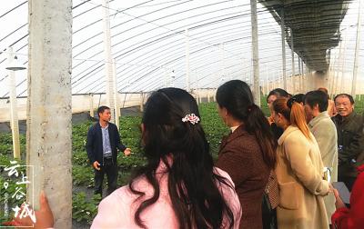 聚焦乡村产业振兴 谷城700多名农民接受现代化农业培训