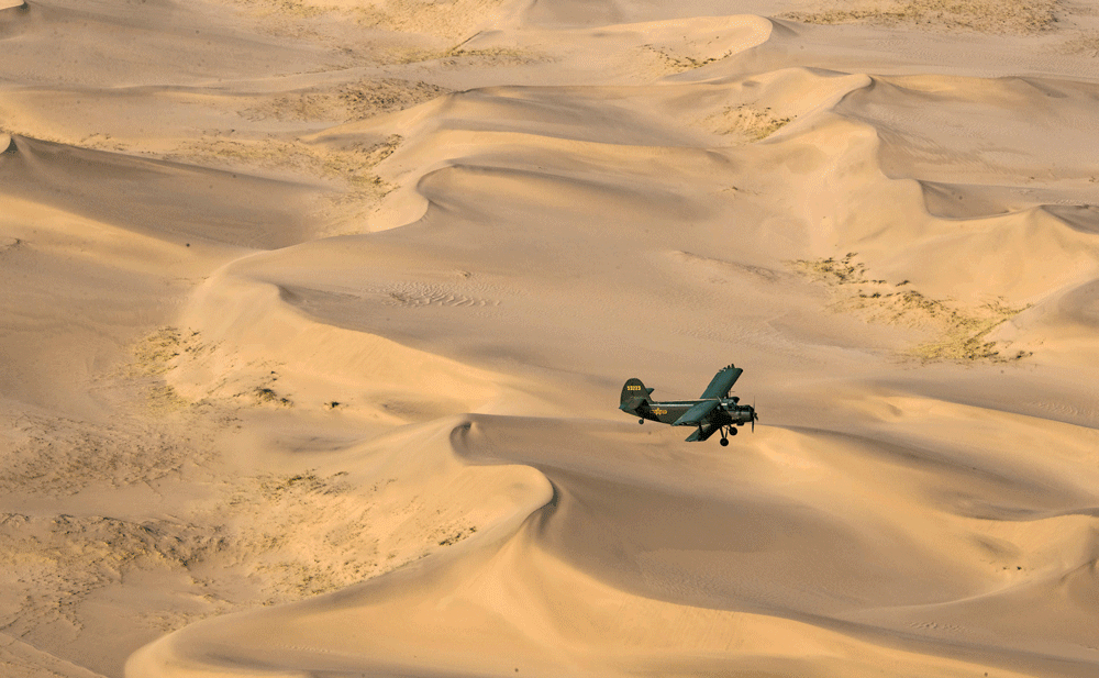 开飞机去播种！他们在沙漠创造奇迹！  