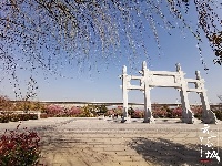 【图集】愿你 往后余生 皆是花期！