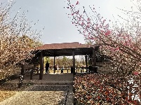 【图集】愿你 往后余生 皆是花期！