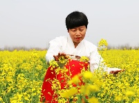【图集】谷城经济开发区洞山寺村：五百余亩油菜花竞相绽放 