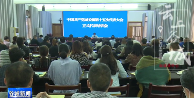 中国共产党城关镇第十五次代表大会代表开展集中培训
