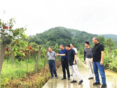 县领导到南河苏区村检查指导防汛救灾和疫情防控工作