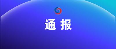 襄阳市新型冠状病毒肺炎疫情通报（596）