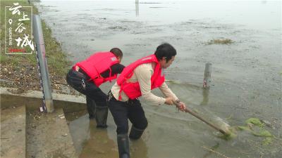 汉江谷城段水位上涨 谷城全力备战汛情