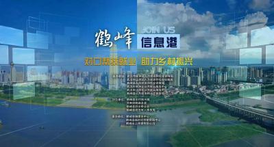 直播 | 武汉市新洲区、江岸区助力鹤峰乡村振兴线上招聘会
