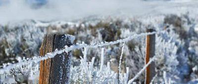 雨雪+8级大风！寒潮来了！