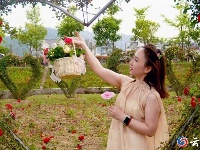 赏花图鉴来了，快来邂逅这场似锦“繁花”