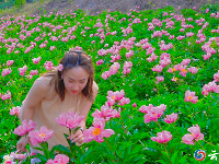赏花图鉴来了，快来邂逅这场似锦“繁花”