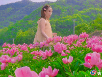 赏花图鉴来了，快来邂逅这场似锦“繁花”
