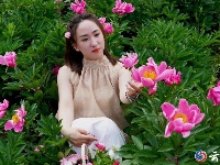 赏花图鉴来了，快来邂逅这场似锦“繁花”